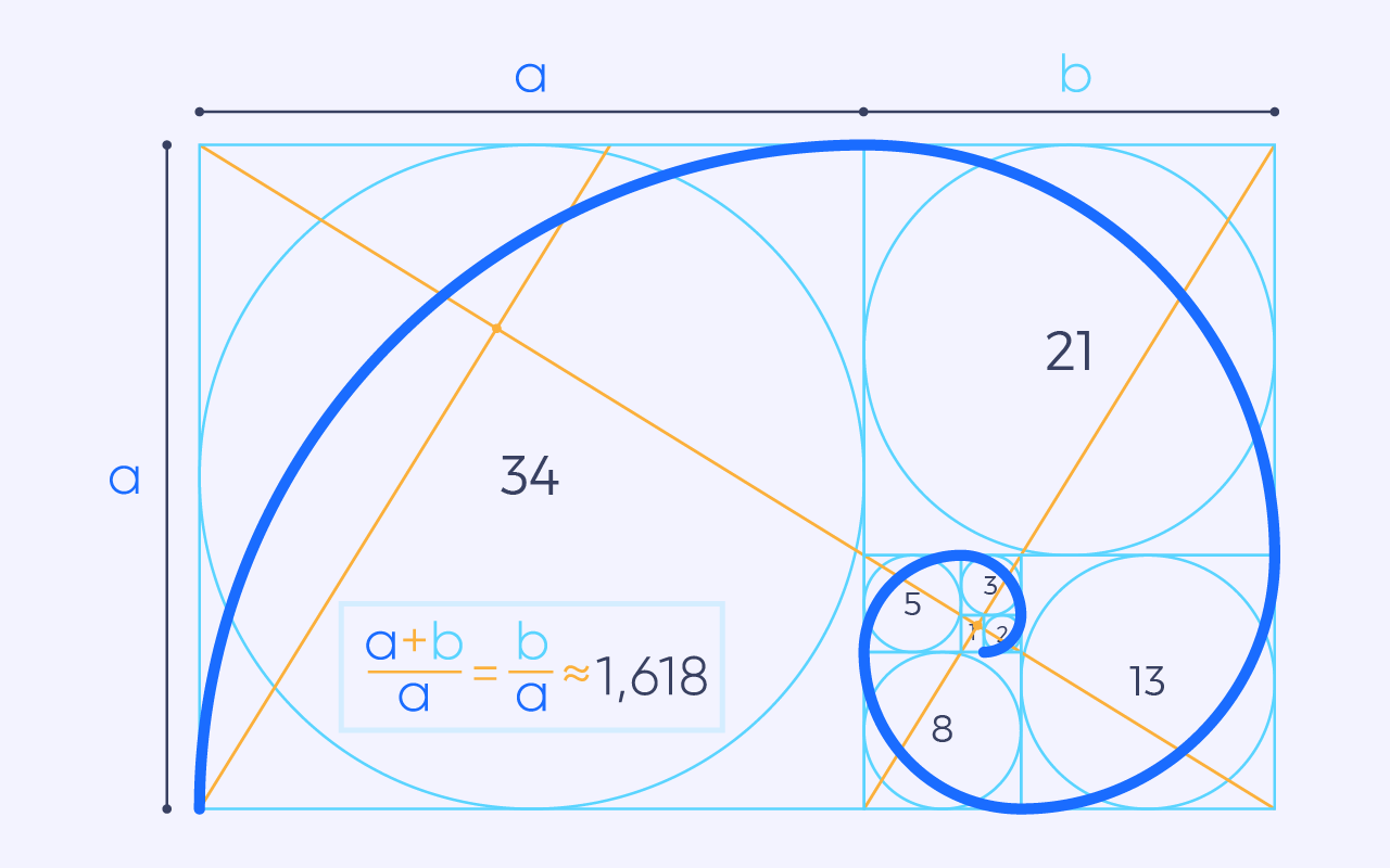 A drawing of a golden section with a circle in the center